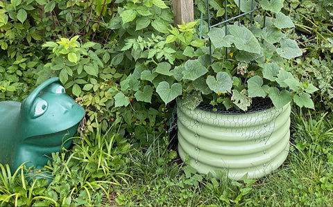 My 2025 Garden Update: Garden Pests Galore!