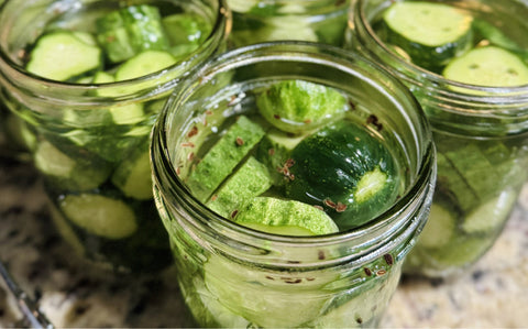 Small-Batch Garlic Dill Pickles Canning Recipe