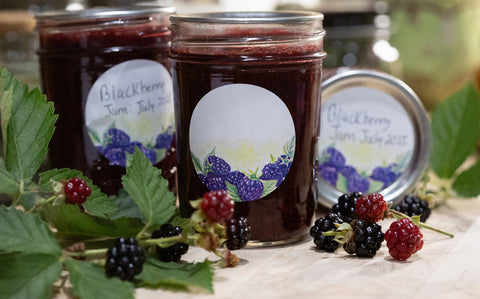 Low-Sugar Blackberry Jam Canning Recipe with Pomona’s Pectin