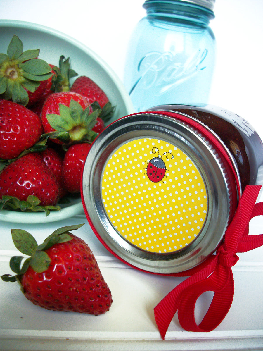 cute ladybug canning jar labels | CanningCrafts.com